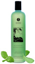 627968 Shunga Bath & Shower Gel Sensual Mint