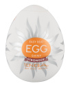 506125 TENGA Easy Beat Egg SHINY stronger